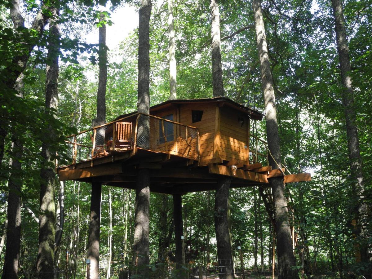 Treehouse V Brdech Villa Bohutin  Luaran gambar
